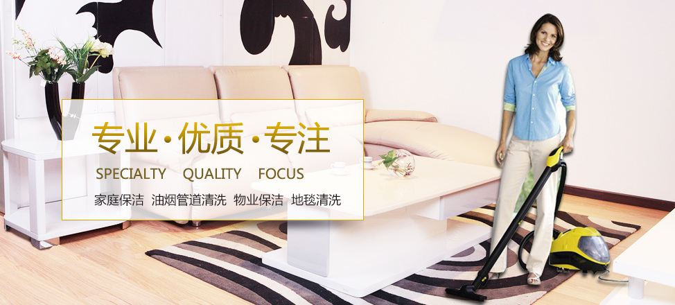 加拿大人口排行榜前十名